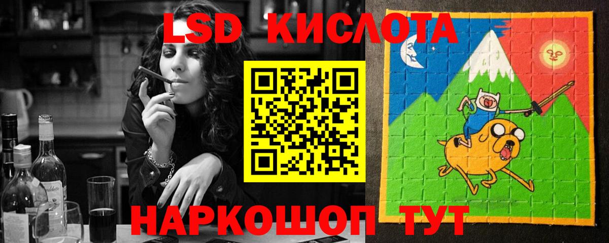 Новозыбков  omg рабочий сайт  Вход с VPN  Лсд 25 экстази кислота  ЛСД экстази 