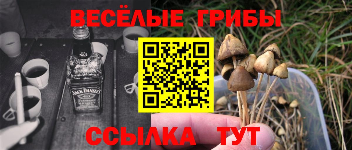 Галлюциногенные грибы ЛСД  Вход с VPN  Новозыбков  Псилоцибиновые грибы Psilocybine cubensis 
